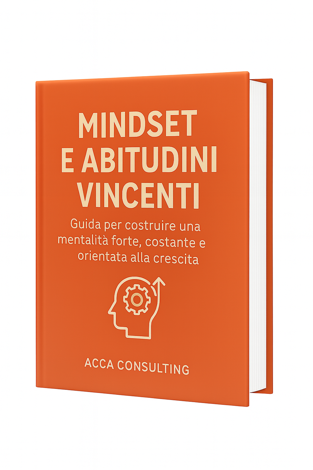 Mindset e Abitudini Vincenti